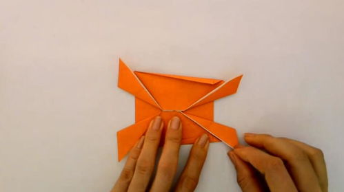 萌寵DIY指南 親手打造一只超級可愛的狗狗伙伴